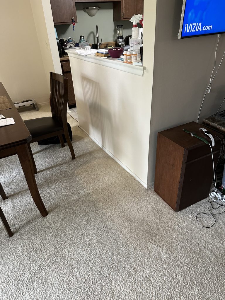 beforeflooring shaumburg